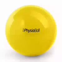 Original Pezzi Physioball Standard