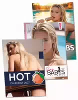Pin Up Kalender 2027 im 2er Set