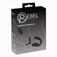 Prostata Vibrator Mit Perineum Vibrator Und Penis Hodenring