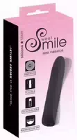 Sweet Smile Schlichter Mini Vibrator