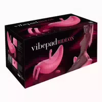Vibepad Vibepad Ride On 1 st