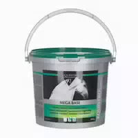Equistro Mega Base Erg Futterm Pulver F Pferde 10 Kg