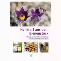Heilkraft Aus Dem Bienenstock