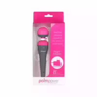 Palmpower Power Massager