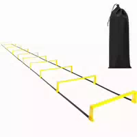 Onamaste Koordinationsleiter Agility Leiter
