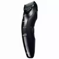 Panasonic Bartschneider