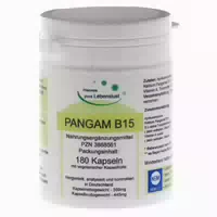 Pangam Vitamin B15 Vegi Kapseln 180 St Kapseln