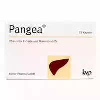 Pangea Kapseln 120 Stück