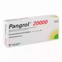 Pangrol 20000 100 St Tabletten Magensaftresistent