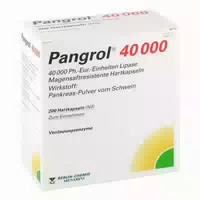 Pangrol 40000 100 st Hartkapseln mit Magensaftresistent Überzogenen Pellets