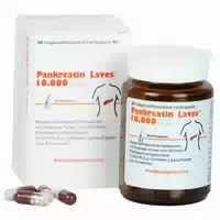 Pankreatin Laves 10 000 Ph Eur Einh Magensaftresistent Hartkapseln
