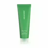 Papa Recipe Tea Tree Control Cleansing Foam 120ml