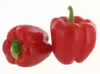 Paprika Rot 2 3 Stück