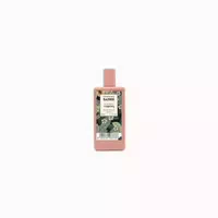 Saphir Botanic von Eisenkraut Edt Spray 50 ml 0,05 l