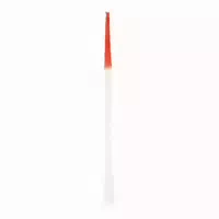 Paro Brush Sticks Kunststoffzahnstocher Flaumbürst 10 St