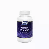 Mexican Wild Yam 120 St Kapseln