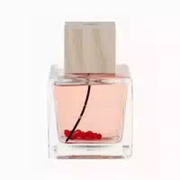 Pascal Morabito Purple Ruby Eau De Parfum Spray 95ml 0,1 L
