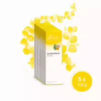Lymphdiaral Ds Salbe 5x100 g Salbe