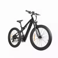 Paselec Gs9 Elektrisches Mountainbike, 48v 16ah Herausnehmbarer Akku