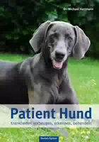 Patient Hund Krankheiten Vorbeugen, Erkennen, Behandeln