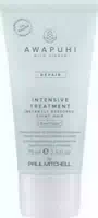 Paul Mitchell Awapuhi Wild Ginger Repair Intensive Treatment