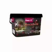 Pavo Muscle Build