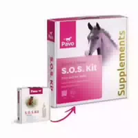 Pavo Sos Fohlenpaket