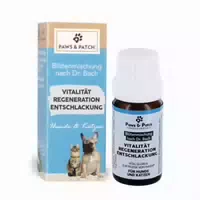 Paws&patch Blütenmischung Nach Dr Bach Vitalität Regeneration Entschlackung Für Hunde Und Katzen