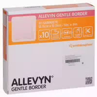 Allevyn Gentle Border Lite 10x10 cm Schaumverb 10 st Verband