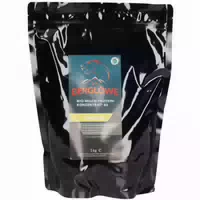 Berglöwe Bio Milch Protein Konzentrat 85 Vanille