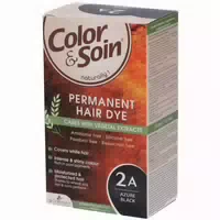 Color & Soin Permanente Haarfarbe 2a Azure Black