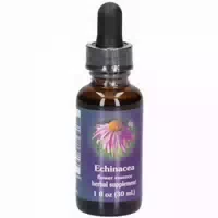 Echinacea Sonnenhut Tropfen