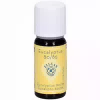 Elixan Ätherisches Öl Eukalyptus 80 85 100% Natürlich