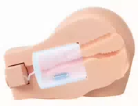 Masturbator „back That Ass Up“ Mit Innovativer Saugmassage