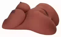 Masturbator „ez Bang Torso“ mit 2 Extra Hoch Platzierten Lustöffnungen