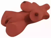 Masturbator Perfect 10 Torso Mit Busen, Vagina Und Anus