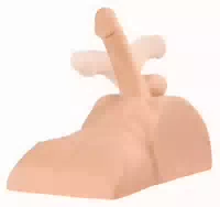 Torso Masturbator „perfect Ride“ Mit Rundum Beweglichem Penisdildo