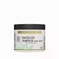 Hbn Supplements Bacillus Subtilis Dsm 21097 60 st