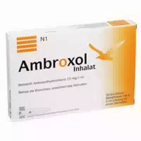 Ambroxol Inhalat 15ml 2ml 20x2 Ml Lösung Für Einen Vernebler