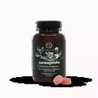 Peplement Ashwagandha Gummies mit Vitamin B6 – Vegan & Zuckerfrei, Leckerer Apfelgeschmack 60 st