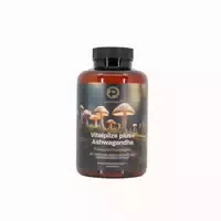 Peplement Vitalpilze Komplex mit Ashwagandha