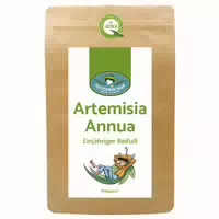 Peppermintman Artemisia Annua