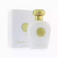 Lush Musk Edp 100ml Mixed Perfume Spicy And Fragrant Scent 0,1 l