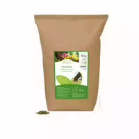 Pernaturam Equi Basal