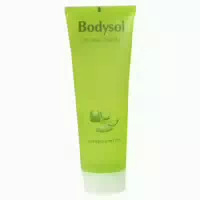 Bodysol Aroma Dusche Ginkgo Limette 250 ml Duschgel