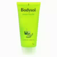 Bodysol Aroma Duschgel Ginkgo Limette 100 ml