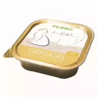0.1 kg