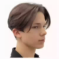 Perücke Braun Kurz Männer Mittlerer Teil Synthetische Light 1 st