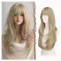Perücke Lang Pony Geschichtet Synthetik Damen Dreckige Blond 1 st