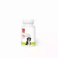 Dogenzyme Gelenk Magensaftresistent Filmtabletten Vet Für Tiere